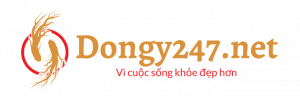 dongy247