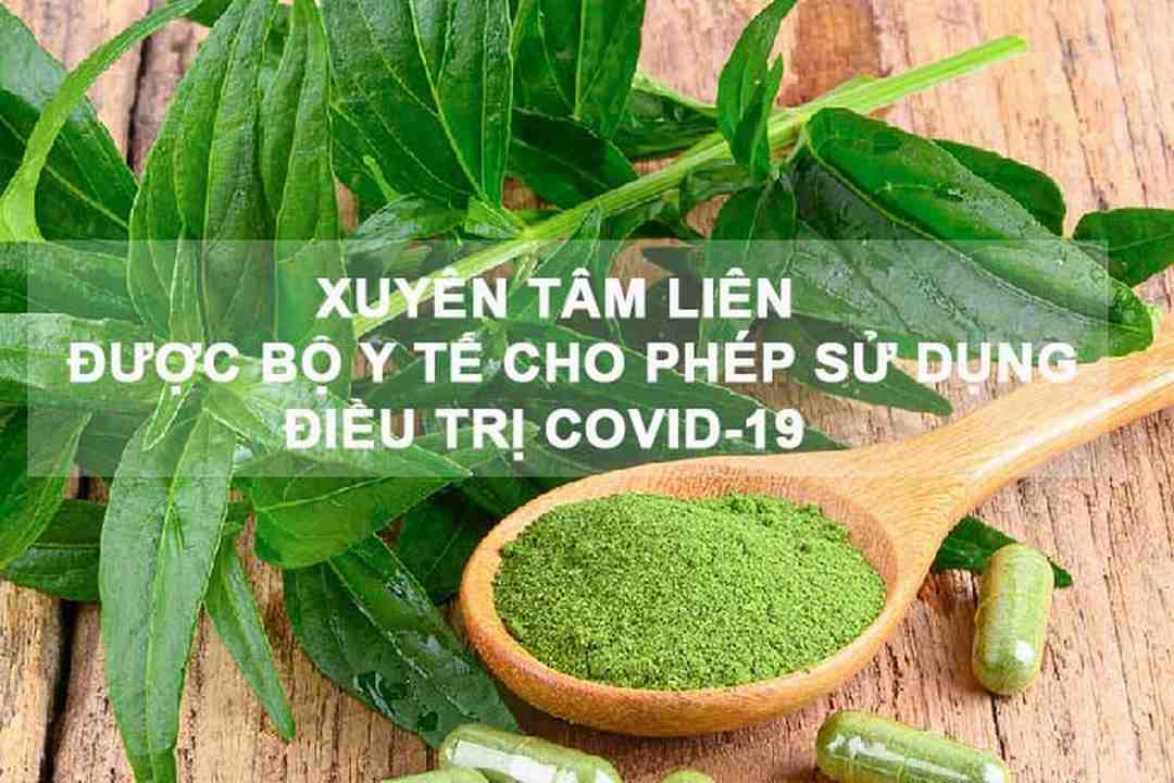 Hiệu quả của các bài thuốc xuyên tâm liên trong việc giảm căng thẳng và tăng sức khỏe.